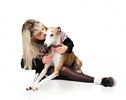 10 ESSENTIAL ITEMS FOR OUR SENIOR GREYS
