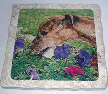 Load image into Gallery viewer, Brindle Greyhound Tile Trivet with Display Stand