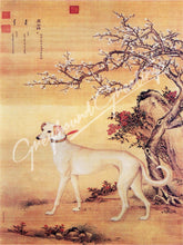 Load image into Gallery viewer, Greyhound Dog Notecards