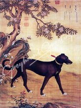 Load image into Gallery viewer, Greyhound Dog Notecards