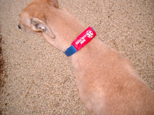 Load image into Gallery viewer, Rescue Facts Pet ID Wrap Emergency Information Pack BOGO