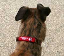 Load image into Gallery viewer, Rescue Facts Pet ID Wrap Emergency Information Pack BOGO