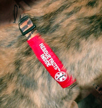 Load image into Gallery viewer, Rescue Facts Pet ID Wrap Emergency Information Pack BOGO