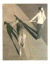 Load image into Gallery viewer, Greyhound Sympathy Card