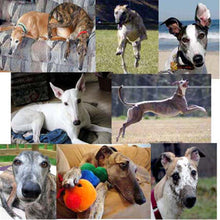 Load image into Gallery viewer, Greyhound Note Card Set