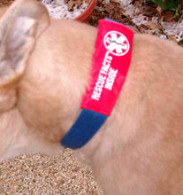 Load image into Gallery viewer, Rescue Facts Pet ID Wrap Emergency Information Pack BOGO