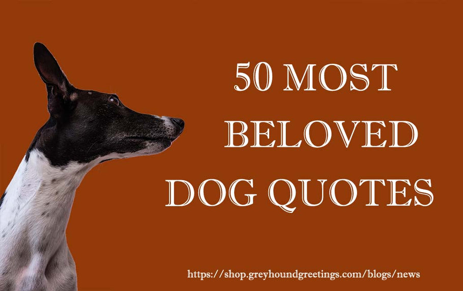 50 MOST BELOVED QUOTES ABOUT DOGS