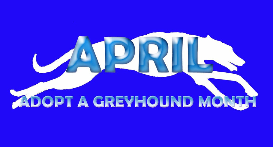 GET READY TO PROMOTE GREYHOUND ADOPTION MONTH!