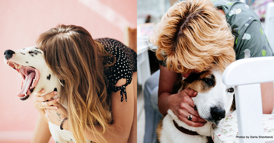Communicating with your Greyhound – 5 things that annoy our dogs