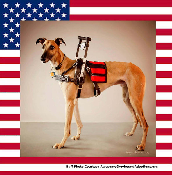 GREYHOUNDS AS VETERANS’ SERVICE DOGS
