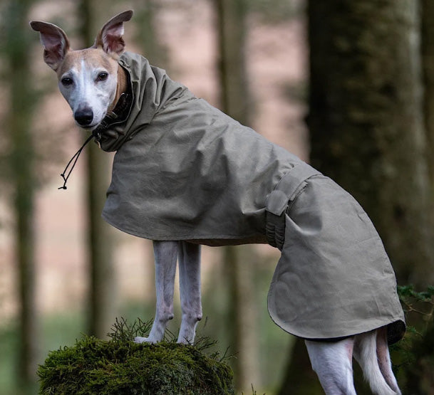 HOODED HOUND COAT INSTRUCTIONS