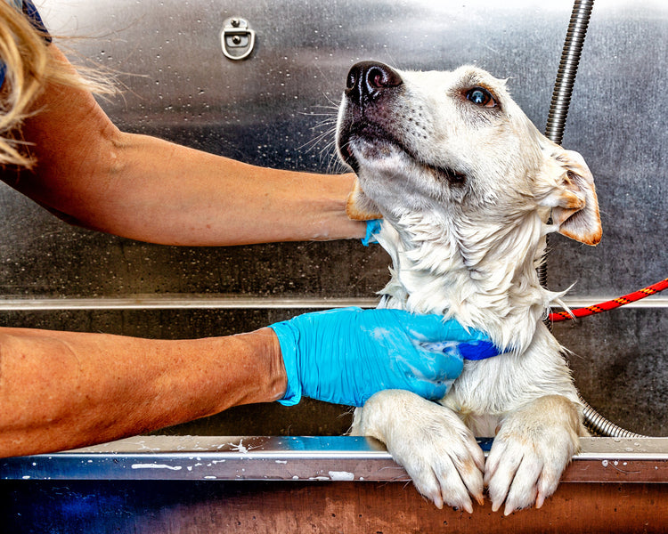 9 GROOMING MISTAKES TO AVOID