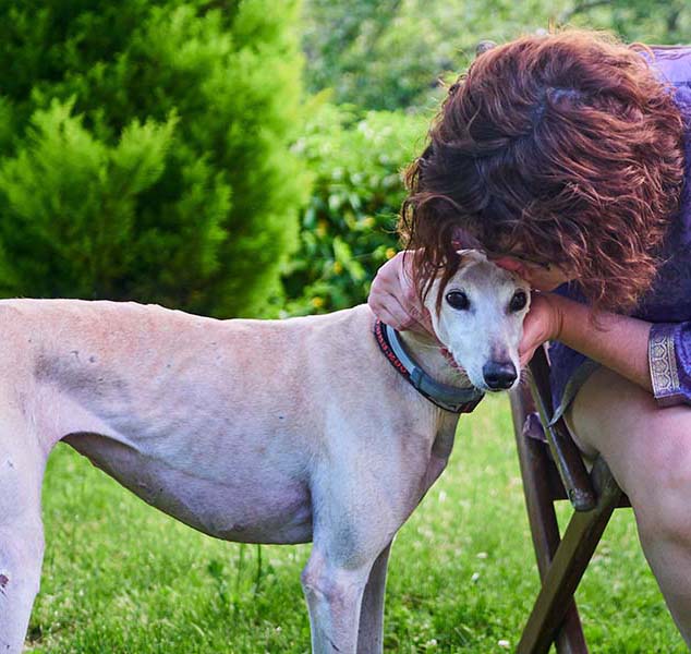 TIPS FOR FIGURING OUT YOUR DOG'S LOVE LANGUAGE