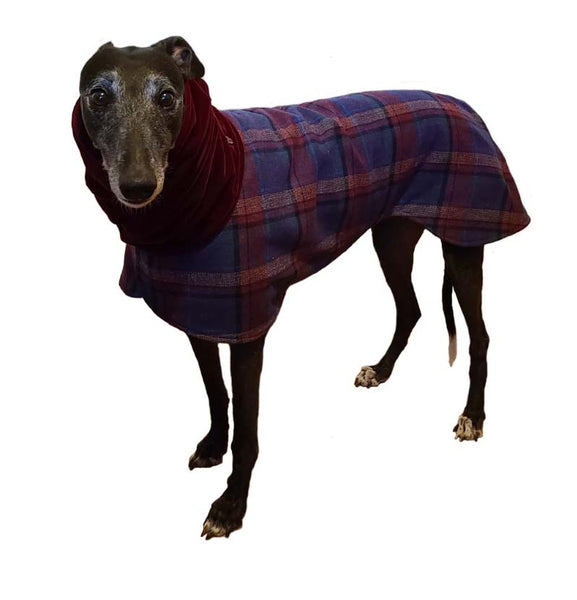 DOES MY GREYHOUND NEED A COAT?