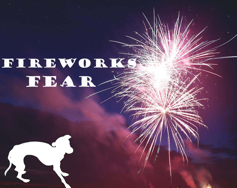 GREYHOUNDS & FIREWORKS FEAR