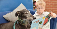 Retired Greyhounds Help Children Read