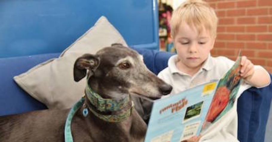 Retired Greyhounds Help Children Read
