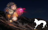 COPING WITH FIREWORKS FEAR