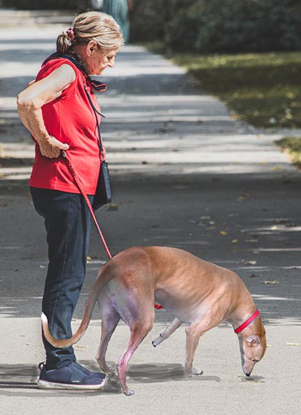 TIPS ON FINDING A PET-FRIENDLY ASSISTED LIVING FACILITY