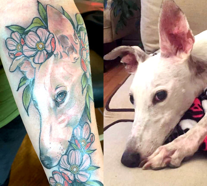 88 GREYHOUND TATTOO IDEAS