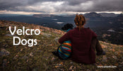 VELCRO DOGS