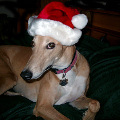 Collection image for: Christmas