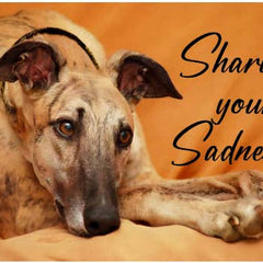 Collection image for: Stationery: Sympathy Cards
