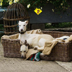 Collection image for: Dog Supplies & Handy Stuff