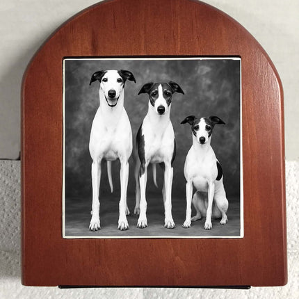 Monochrome Greyhound, Whippet and Iggie on Rosewood Bookends