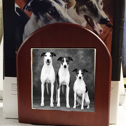 Monochrome Greyhound, Whippet and Iggie on Rosewood Bookends