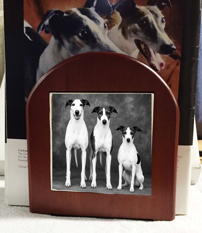Monochrome Greyhound, Whippet and Iggie on Rosewood Bookends