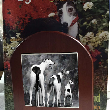 Monochrome Greyhound, Whippet and Iggie on Rosewood Bookends