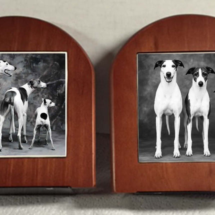 Monochrome Greyhound, Whippet and Iggie on Rosewood Bookends