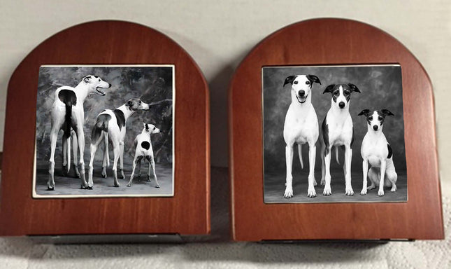 Monochrome Greyhound, Whippet and Iggie on Rosewood Bookends