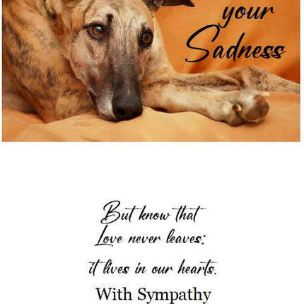 Sharing Your Sadness Greyhound Dog Sympathy Cards, set of 4, with envelopes