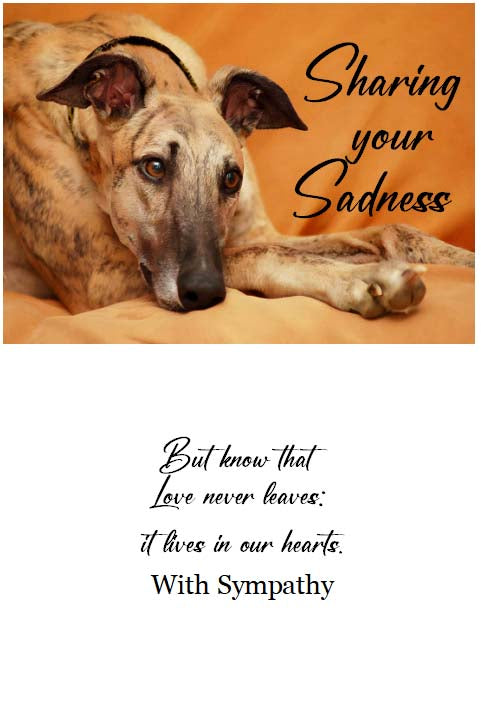 Sharing Your Sadness Greyhound Dog Sympathy Cards, set of 4, with envelopes