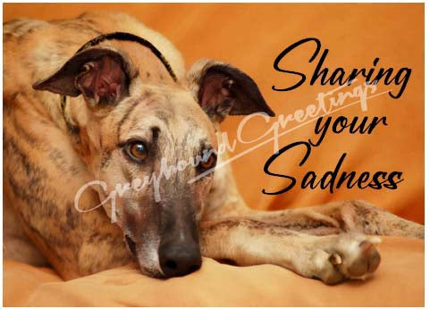 Sharing Your Sadness Greyhound Dog Sympathy Cards, set of 4, with envelopes