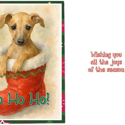 Greyhound Puppy in a Christmas Stocking Holiday Cards - Set/4 w Env