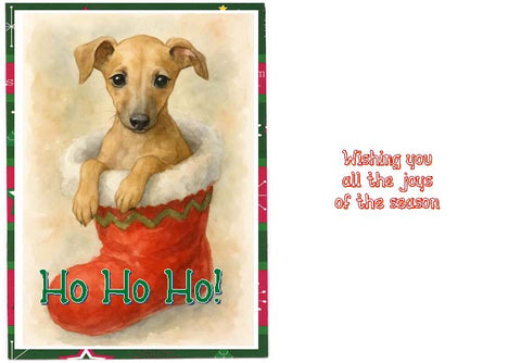 Greyhound Puppy in a Christmas Stocking Holiday Cards - Set/4 w Env