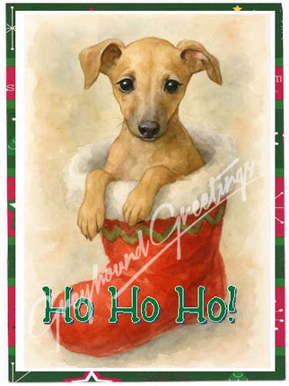 Greyhound Puppy in a Christmas Stocking Holiday Cards - Set/4 w Env