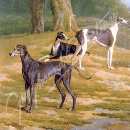 Wood Framed Greyhound Triptych Tile Leash or Coat Hooks, New *Exclusive*
