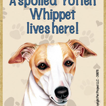 A Spoiled Rotten Whippet Lives Here! Fridge Magnet