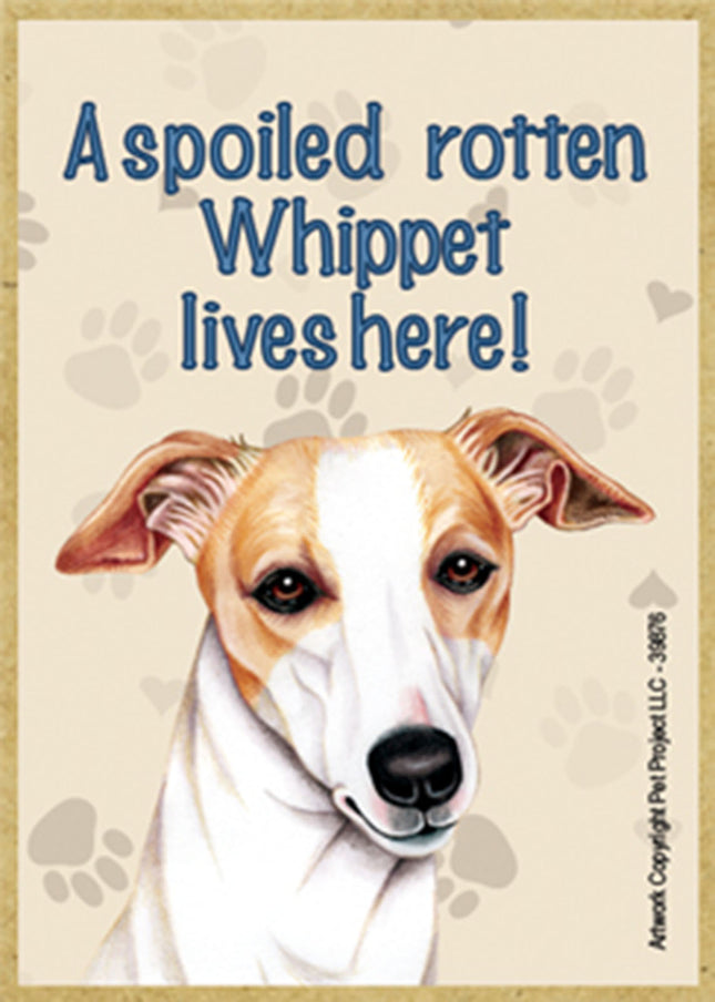 A Spoiled Rotten Whippet Lives Here! Fridge Magnet