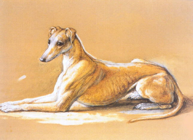 Greyhound luggage tags