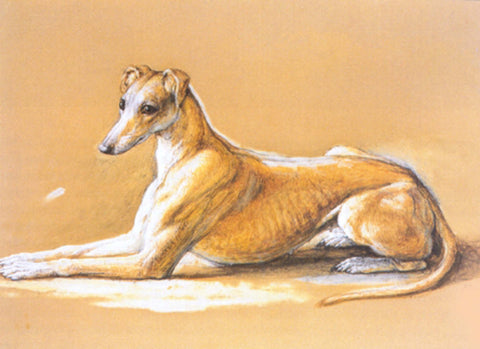 Greyhound luggage tags