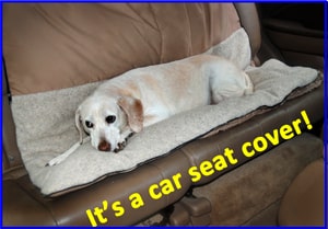 Washable Pet Bed