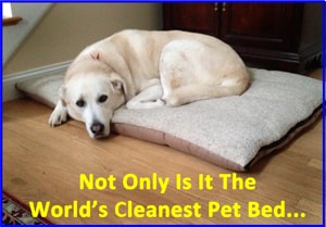 Wash'n Zip Pet Bed - Solution to DIRTY, SMELLY pet beds -Choose Size- Free shipping