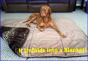 Washable Pet Bed