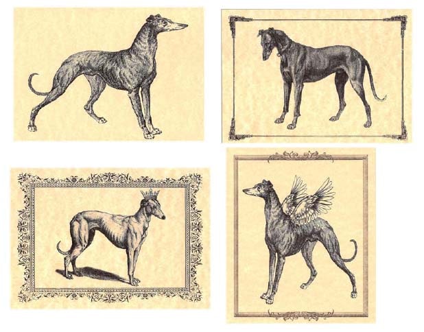 Vintage Greyhound Note Card Set