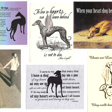 Greyhound Sympathy Card Assortment